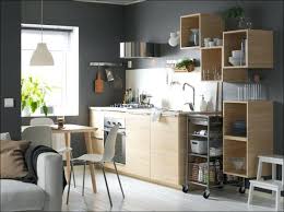 Ikea Studio Apartment Kuche Mittelgrosse Wohnung Kuche Design Ein Stuck Apartment Design Kuche Mittelgro S Luxus Kuche Design Ikea Design Kuchen Design