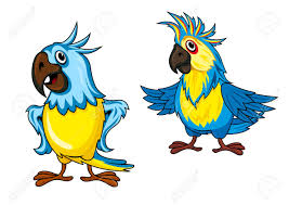 We did not find results for: Cute Colorful Parrots Cartoon Characters Showing Birds With Yellow And Blue Feathering And Funny Crests Isolated On White Background Royalty Free Cliparts Vectors And Stock Illustration Image 41422489