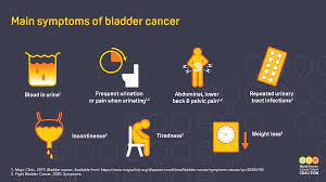 Read about bladder cancer symptoms, signs, diagnosis, treatment, stages, survival risk, prognosis, and prevention. Symptoms Risk Factors World Bladder Cancer Patient Coalition
