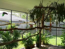 Would Love A Planted Avairy But With Parakeets Not A Good Idea Thinking Of Sectioning It Off For The Finches And Planting That E Bird Aviary Aviary Parrot Toys