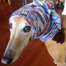 Dog Hats Hand Knit Dog Hat Greyhound Hat Whippet Hat Hound Hat Dog Warm Ears Dog Warm Neck Dog Snood Dog Scarf Pet Accessories Dog Snood Snood Dog Knit Dog Hat