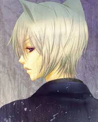 I love the wolf in the background! Introducing White Hair Characters Anime Amino