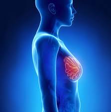 Abemaciclib is used for this condition only if your tumor tests negative for a protein called human epidermal growth factor receptor 2 (her2). Monarche Meets Primary End Point With Abemaciclib Combo In Hr Her2 Breast Cancer