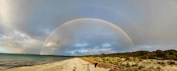 According to birds sa president john in late spring and early summer, rainbow lorikeets flock to a certain tree next to the summer house in. Double Rainbow Yesterday On Kangaroo Island Adelaide