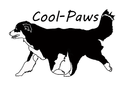 We are your outdoor environment experts. Cool Paws Cool Paws