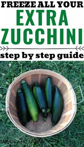 Blanch zucchini in a large pot of boiling water for 1 to 2 minutes to kill enzymes. How To Freeze Zucchini Mranimal Farm