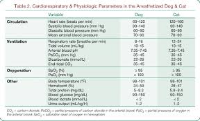 Anesthetic Monitoring Your Questions Answered Todays