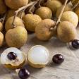 Longan