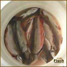 Pin Von Hugo Leeb Auf Essen In 2020 Rauchern Anleitung Fisch Rauchern Fleisch Rauchern
