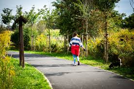 Wenn das wegerecht nicht im grundbuch eingetragen worden ist, besteht ein solches wegerecht lediglich in schuldrechtlicher form und kann je nach vertragsestaltung jederzeit gekündigt werden. Voraussetzungen Und Umfang Eines Notwegerechts