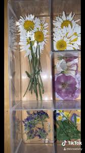 Drying flowers in a microwave oven. Pressed Flower Organization Video Dried And Pressed Flowers Pressed Flowers Pressed Flowers Diy