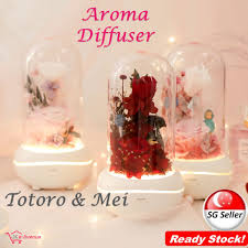 Learn how the aromalux diffuser and aroma dome can help you.you can purchase from here (available worldwide). Preserved Rose Flowers Dome Essential Oil Diffuser Totoro Mei Figurine Aroma Diffuser Mother S Day Gift Birthday Shopee Singapore