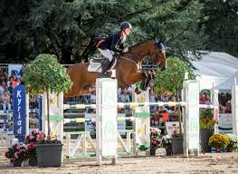 Great britain's tom mcewen won the silver medal in the eventing individual competition at the tokyo olympics. Tom Mcewen Takes First Five Star Win At Pau Eventing Nation Three Day Eventing News Results Videos And Commentary
