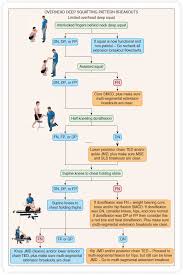Functional Movement Assessment Musculoskeletal