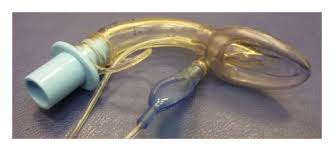 Image result for Extraglottic Device