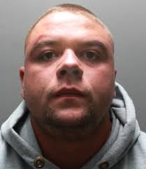 Violent thug who attacked girlfriend and threw kitten off balcony is jailed 