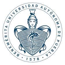 Can anyone help with links to more technical details of this buap (boeing's uninterruptible autopilot system)? Facultad De Medicina Buap Photos Facebook