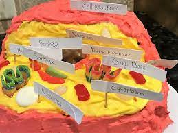 Maybe you would like to learn more about one of these? How To Make An Edible Animal Cell Cake Grace Like Rain Blog