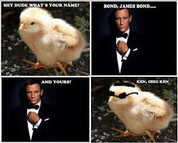 Chicken Names Puns Look at those little bags of money. chicken names puns