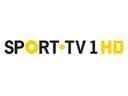 Sport Tv Em Direto Gratis Online For Free Sport Tv1 Live Stream Sport Tv1 Sport Tv Station Sport Tv 1 Sporttv Em Directo Sp Futebol Portugal Sport Tv Tv