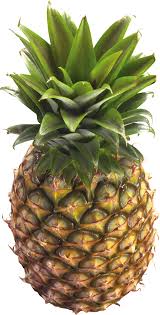 Marlene Armstrong 0by7frjlttdgak0 Fruits Photos Pineapple Growing Fruit Trees