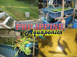Philippine Aquaponics Home Facebook