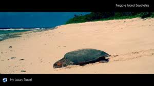 Fregate island private is located at seychelles, la digue and inner islands, fregate island. Fregate Island Private Seychelles My Luxury Travel Youtube