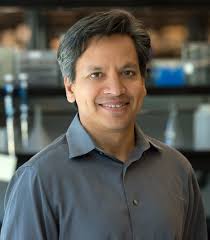 The Ogawa-Yamanaka Prize Crowns Its First Stem Cell Champion