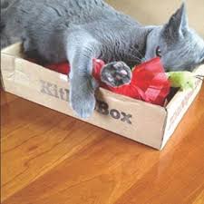 As low as $19.99/month with free shipping! Monthly Subscription Box Of Cat Toys Cat Treats And Cat Gifts Kitnipbox Cat Treats Cat Gifts Kitnipbox