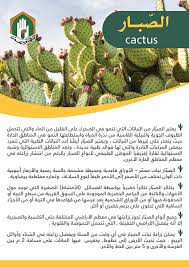 تعرف على الصبار Cactus Veg Garden Plants Tree Farms