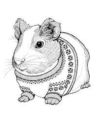 Collection of guinea pig coloring pages (32). Pin On Printable Adult Coloring
