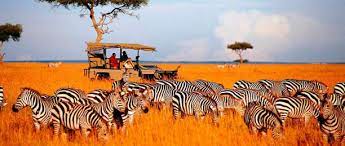 United republic of tanzania ˌtænzəˈniːə или tænˈzeɪniə. Koronavirus Na Zanzibare Tanzaniya Kuda Besprepyatstvenno Ezdyat Ukraincy S Maya 2020 Goda Ne Vedet Statistiki Po Covid 19 Novosti Mobilnaya Versiya Cenzor Net