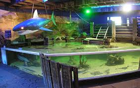 Homelands :: St Andrews Aquarium