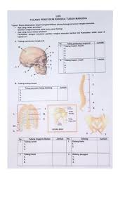 Materi pada buku siswa ipa kelas viii merupakan pembahasan materi ipa berdasarkan kajian biologi, fisika dan kimia yang dikemas secara 27. Tolong Dijawang Ipa Kelas 8 Brainly Co Id