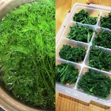 決定版 人参葉のレシピいろいろ 保存方法を紹介します 菅野のなが代表をつとめるオーガニック料理教室で学ぶならワクワクワーク 川崎 武蔵小杉駅近く