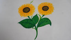 How To Draw Sunflower Simple Step By Step Flower Nature Drawing In 3 Minutes Sketch Draw Youtube Nature drawing high definition picture scenery water beautiful blue sky sun vegetation landscape sky grass beautiful natural scenery flower natural scenery landscapes mountains bird tree lakes rivers and streams we have about (19,302 files) free stock photos in hd high resolution jpg images format.