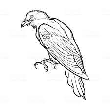Black And White Raven Drawing How To Draw A Raven On A Branch Google Search Drawings Raven Watercolor Art
