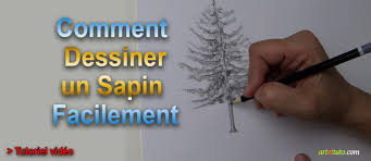 Apprendre à dessiner un corps humain. Apprendre A Dessiner Un Sapin