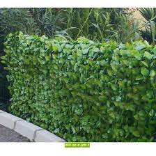 Nos fausses haies en feuillages artificiels constituent une excellente barrière afin de protéger votre propriété des regards. Haie Artificielle Artificielle 1m50 Brise Vue Haie Artificielle 1m50