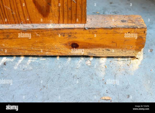 Woodworm holes in furniture with wood dust on floor Stock Photo - Alamy