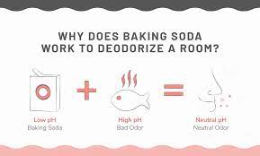 Thankfully, the steps on how to get rid of mildew smell are much easier than you may realize, and the items needed to remove mildew or musty smells are mildew thrives in moisture and is typically found in bathrooms, kitchens, and basements. How To Deodorize A Room Natural Recipes For A Fresh Smelling Home Apartmentguide Com