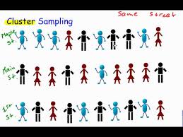 In simple random sampling, researchers collect data from a random subset of a population to draw conclusions about the whole population. Cluster Sampling Youtube