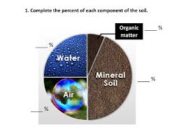The soil textural triangle soil textural triangle practice exercises. Soil Components Worksheet