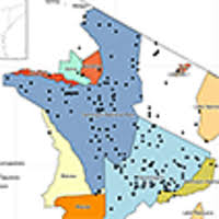 Image result for Hyparrhenia anamesa