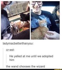 Pin By Daisy On Animals Funny Animal Memes Really Funny Memes Cute Funny Animals