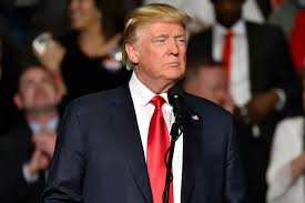 Trump Rejects AI Slowdown Calls, Shifting Outlook for Nvidia and AMD