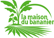Epingle Par Ventanasierra Sur Inspire En 2020 Bananier Plante Haie Pepiniere