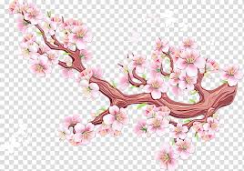 You can use a tiny syringe for this one. Sakura Tree Watercolor Paint Wet Ink Cherry Blossom Sakura Haruno Drawing Blog Transparent Background Png Clipart Hiclipart