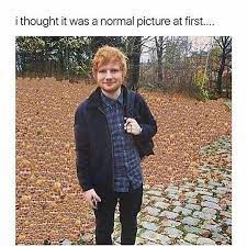 Find the newest ed sheeran meme. I Thought It Was A Normal Picture Ed Sheeran Know Your Meme