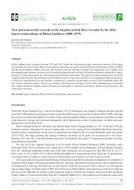 Image result for Orthochilus euanthus